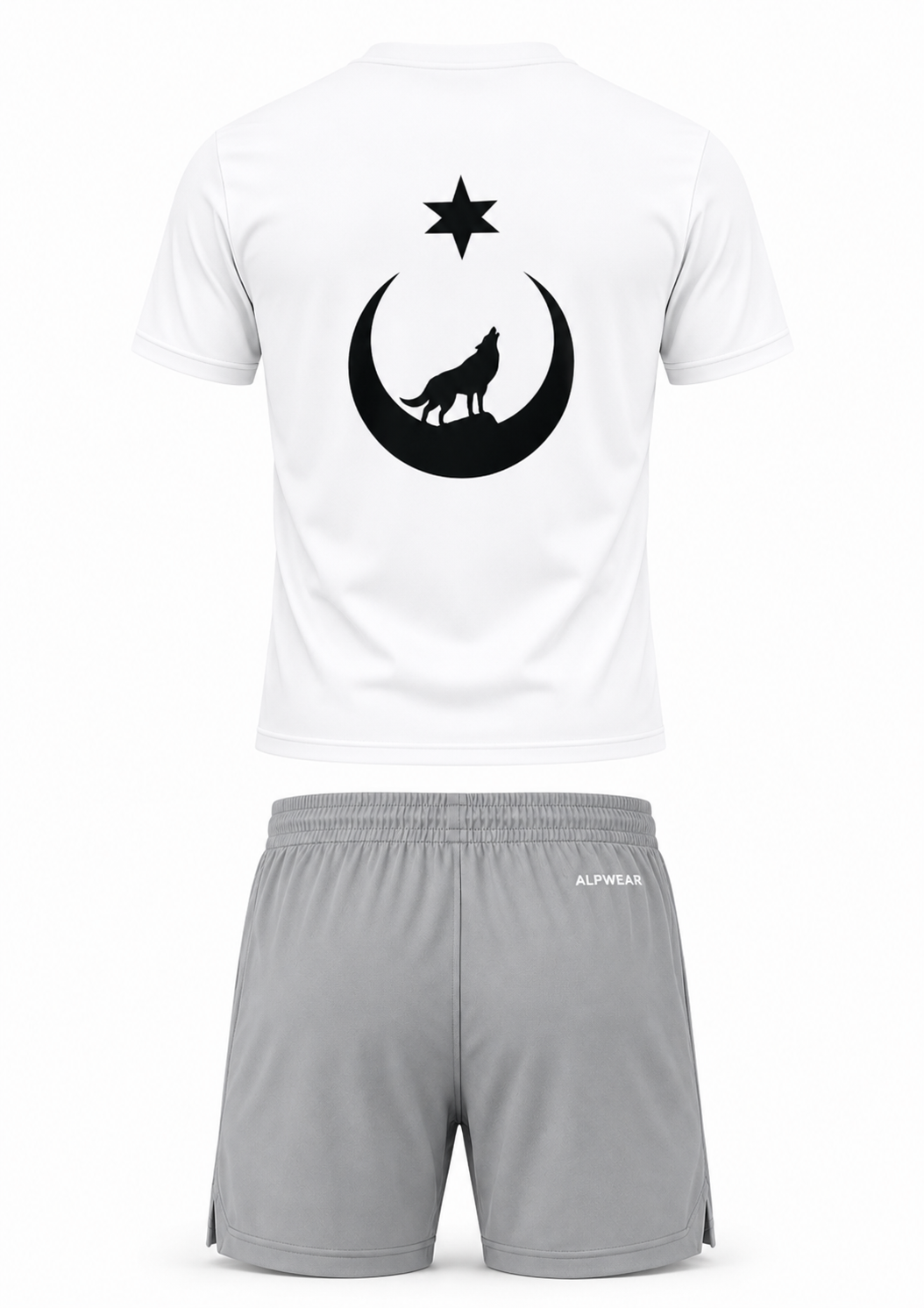 Alpwear Grey Bloodline Set