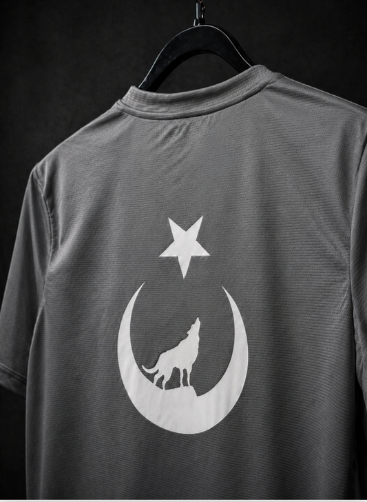 Alpwear Limited Tee — Grey